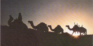 El nacimiento de Jesús 6 Los Reyes Magos