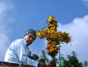 Tres de Mayo día de la Santa Cruz 4 Celebración de la santa cruz